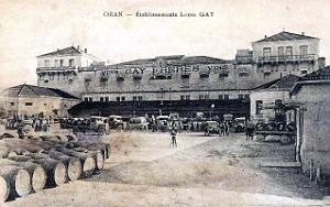 2216- Oran-Gambetta - Etablissement Louis Gay